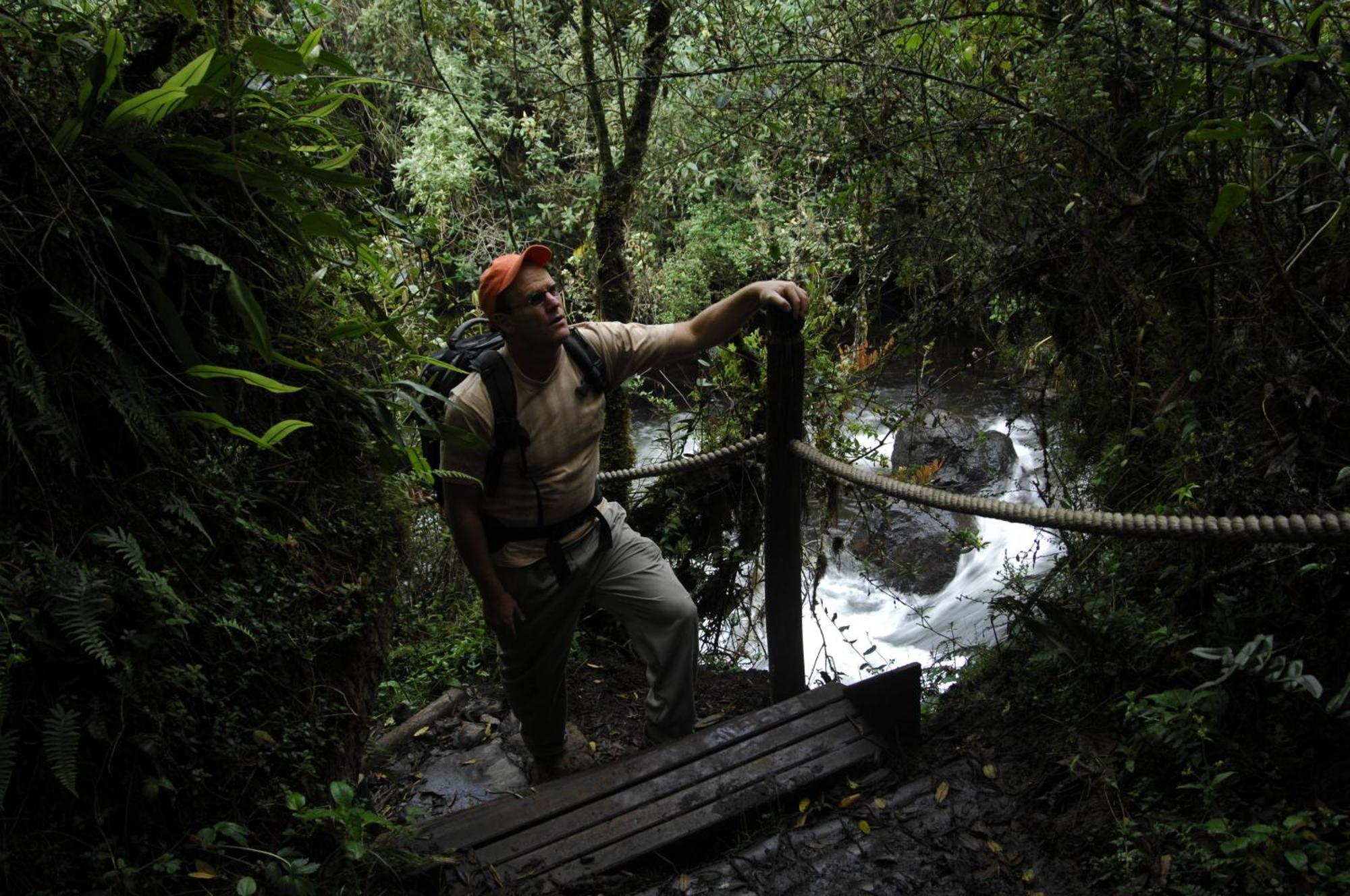 Termas De Papallacta Extérieur photo A bridge in the rainforest